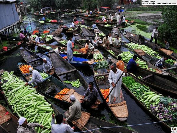 அதென்னங்க மிதக்கும் சந்தை! நீங்க பாத்திருக்கீங்களா? அதைப் பத்தி தெரிஞ்சுக்கனும்னா இதப் படிங்க!! அதென்னங்க மிதக்கும் சந்தை! நீங்க பாத்திருக்கீங்களா? அதைப் பத்தி தெரிஞ்சுக்கனும்னா இதப் படிங்க!!