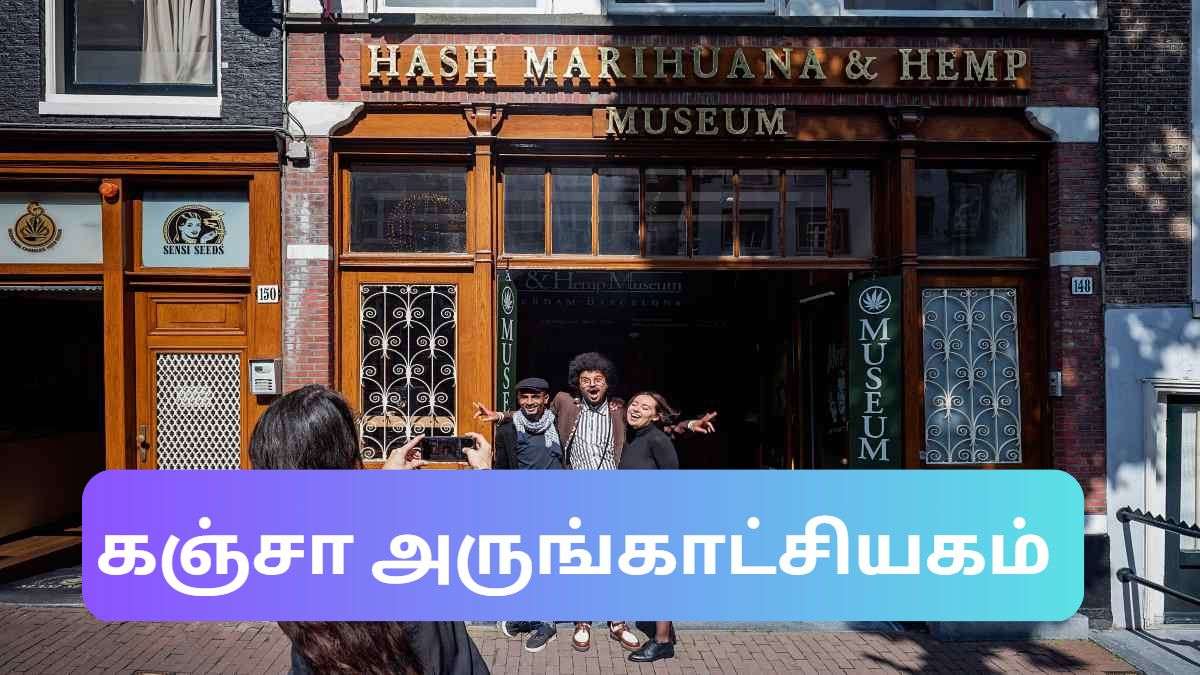 A museum dedicated to cannabis even students can visit! Do you know