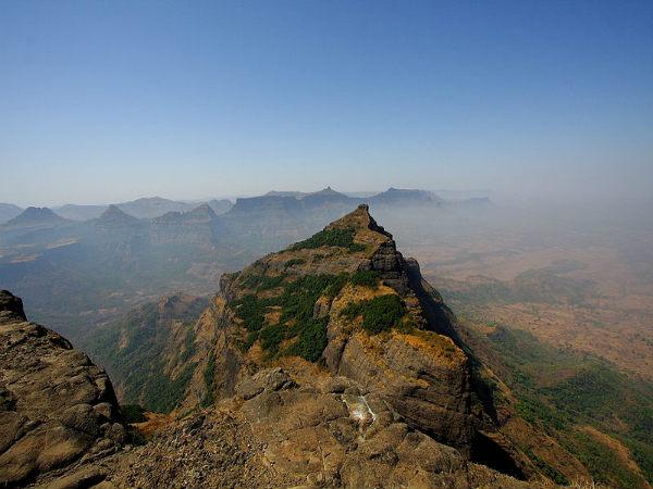 கொங்கன் கடா