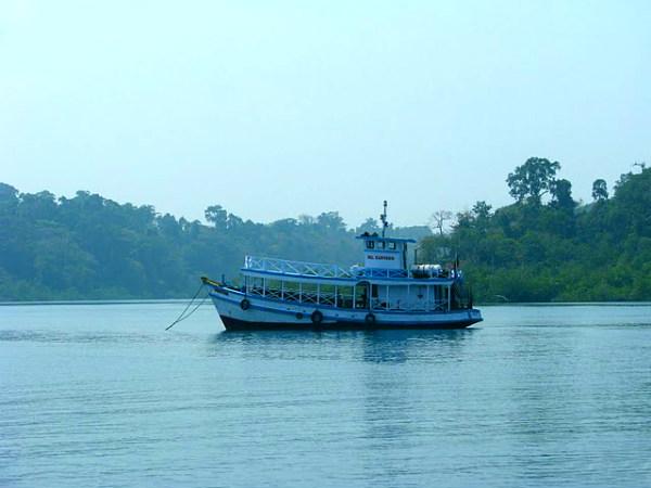 ஜாலி பாய்