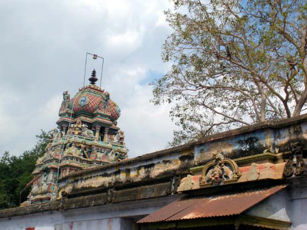 திருவாப்பனூர் ஆப்புடையார் கோயில், மதுரை