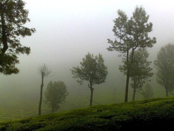 க்ளென்மார்கன்