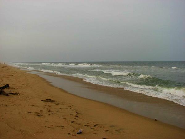 கோல்டன் பீச்