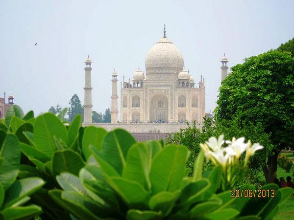 மெஹ்தாப் பாகிலிருந்து!