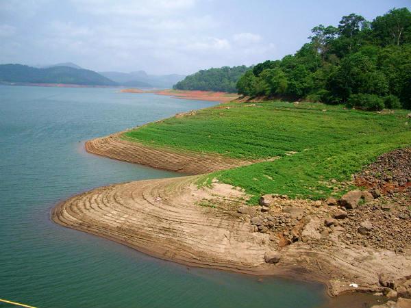 அஞ்சுருளி