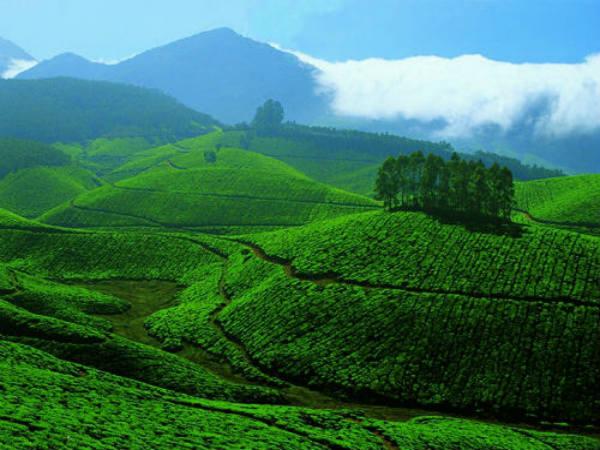 தேவிகுளம்