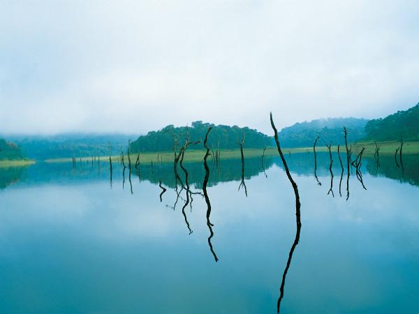தேக்கடி