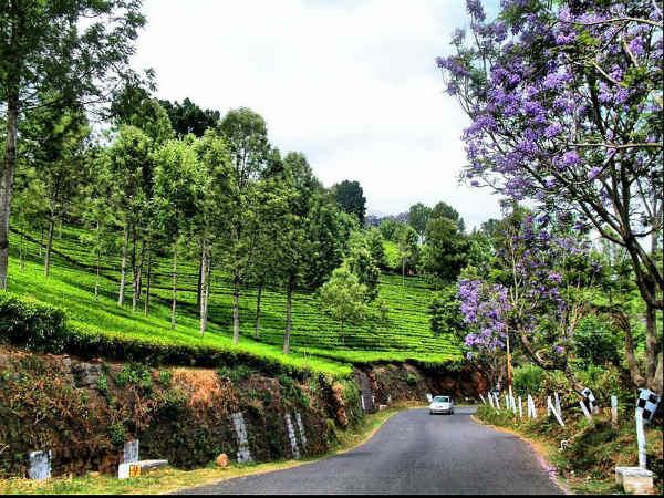 குன்னூர்