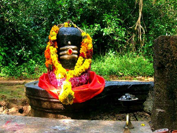 அழகுசொக்கர்