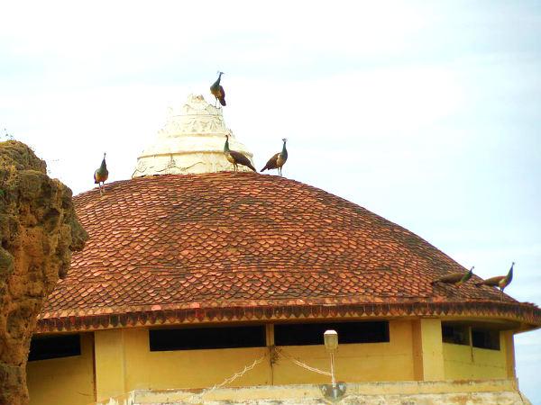 வள்ளிகுகை