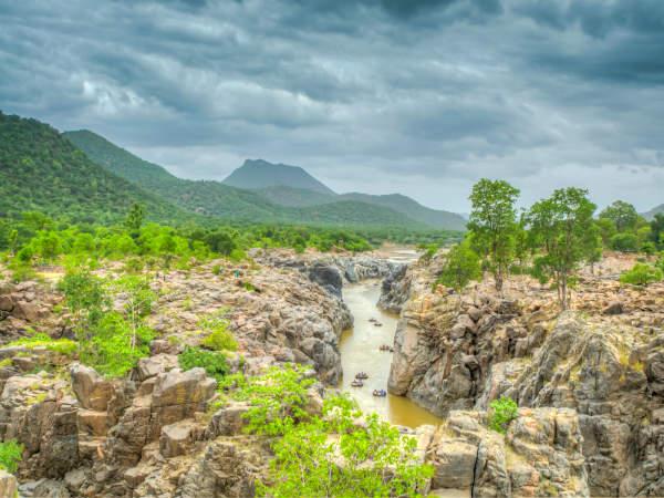 மருத்துவ குணம்