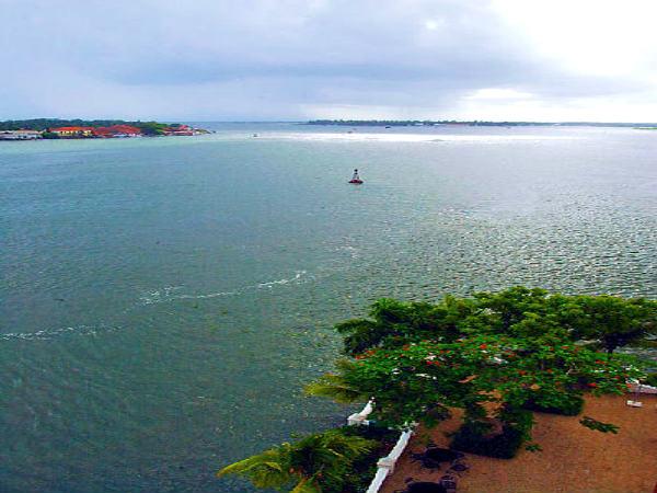 வில்லிங்டன் ஐலேண்ட்