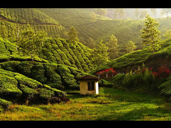 மூணாறை ரசிக்கலாம்:
