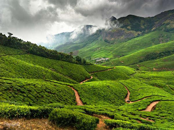 கொலுக்குமலை: