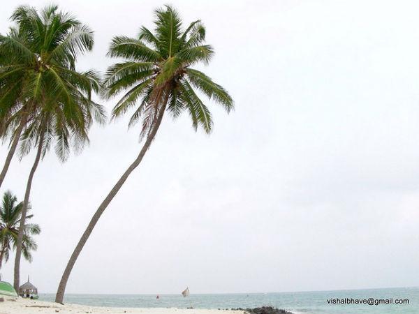 லட்சத்தீவுகள் :