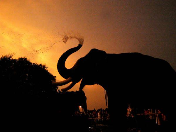 திரிச்சூர் :