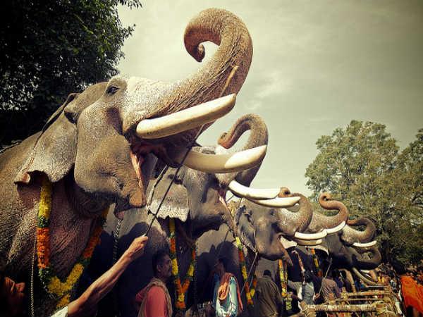 திரிச்சூர் :