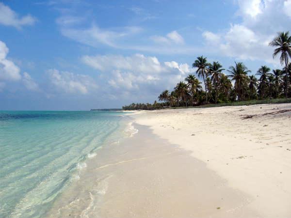 ஏலக்காய் தீவு :