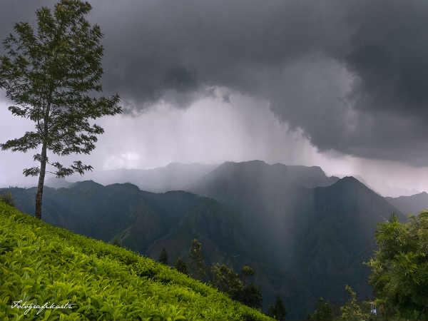கொலுக்குமலை - எப்படி அடைவது ?: