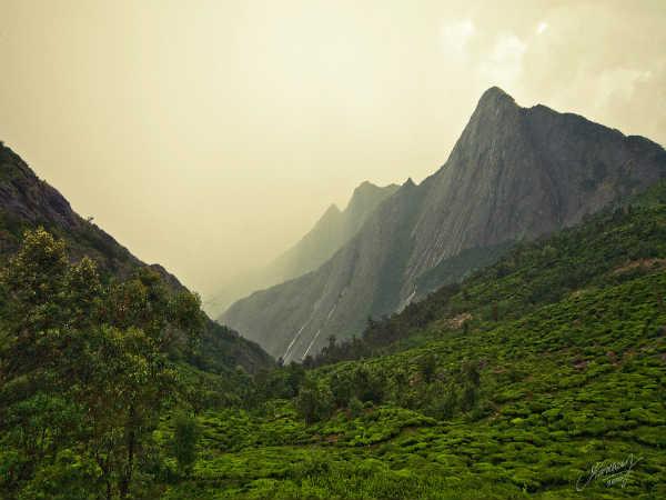 கொலுக்குமலை - எங்கே தங்குவது ?: