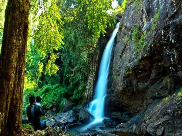 மே - வயநாடு :
