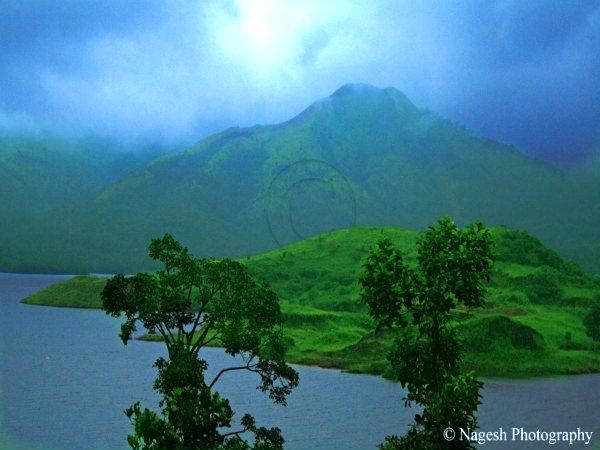 மே - வயநாடு :