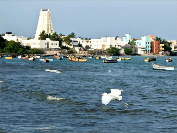 ராமேஸ்வரம் :