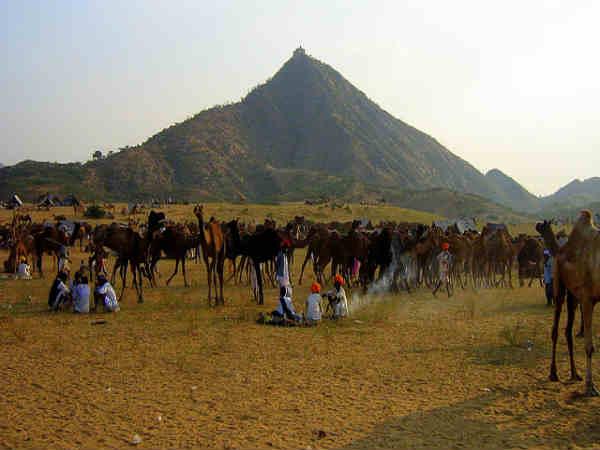 புஷ்கர் கால்நடை திருவிழா