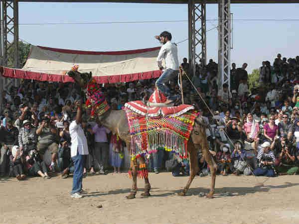 புஷ்கர் கால்நடை திருவிழா