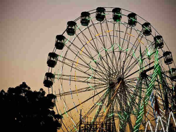 புஷ்கர் கால்நடை திருவிழா