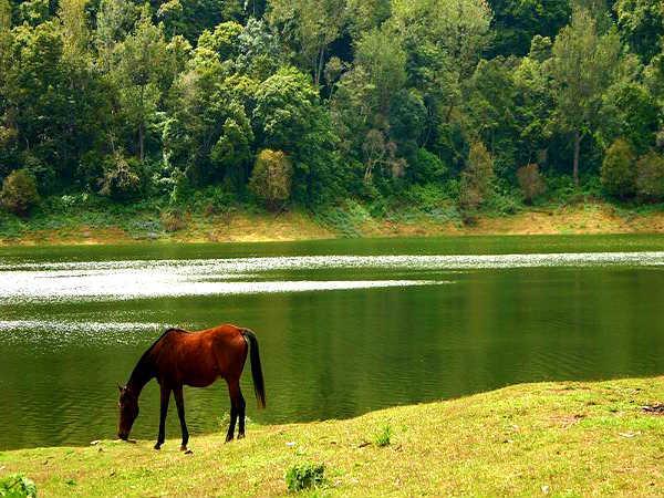 மூணார்: