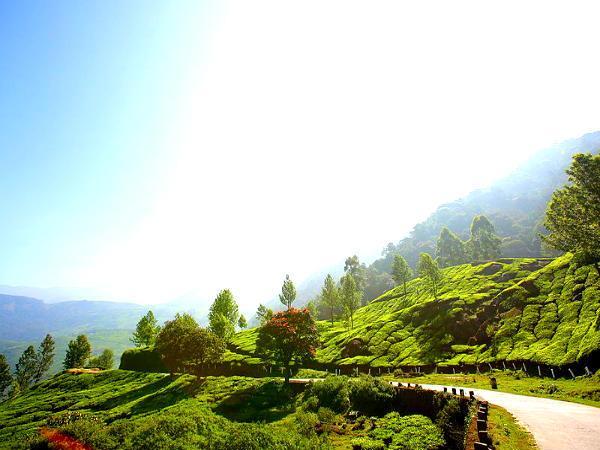 மூணார்: