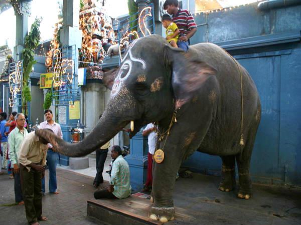 மணக்குள விநாயகர் கோயில்: