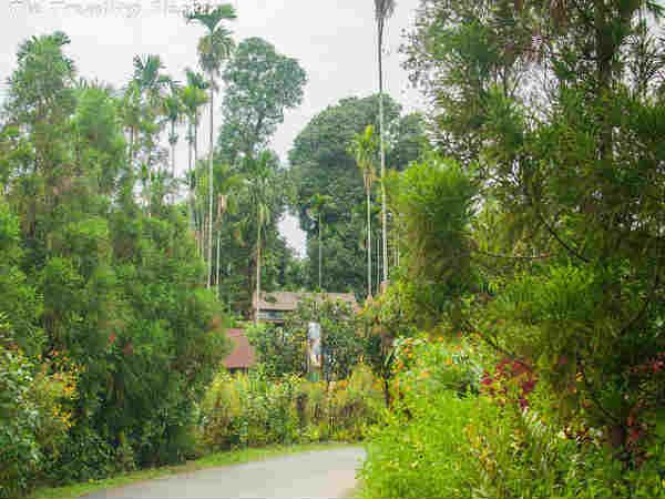 மாவ்லின்னாங்: