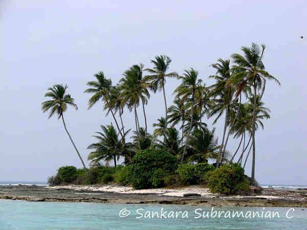 லட்சத்தீவு - கவரத்தி தீவு: