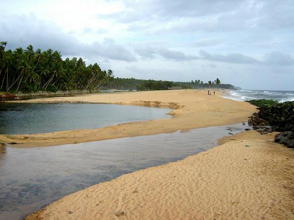 ரோஜா படத்தில் வரும் 'உயிரே, உயிரே' பாடல் எங்கே படமாக்கப்பட்டது? ரோஜா படத்தில் வரும் 'உயிரே, உயிரே' பாடல் எங்கே படமாக்கப்பட்டது?
