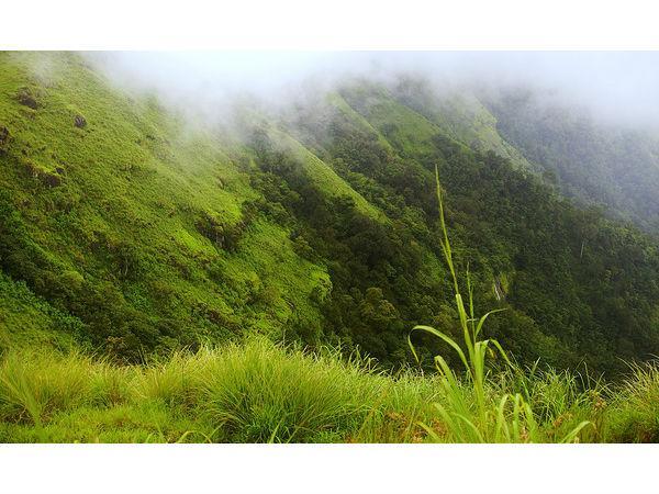 மழைக்காலத்தில் கேரளாவில் சுற்றிப்பார்க்க வேண்டிய அற்புதமான சுற்றுலாத்தலங்கள் எவை தெரியுமா? மழைக்காலத்தில் கேரளாவில் சுற்றிப்பார்க்க வேண்டிய அற்புதமான சுற்றுலாத்தலங்கள் எவை தெரியுமா?