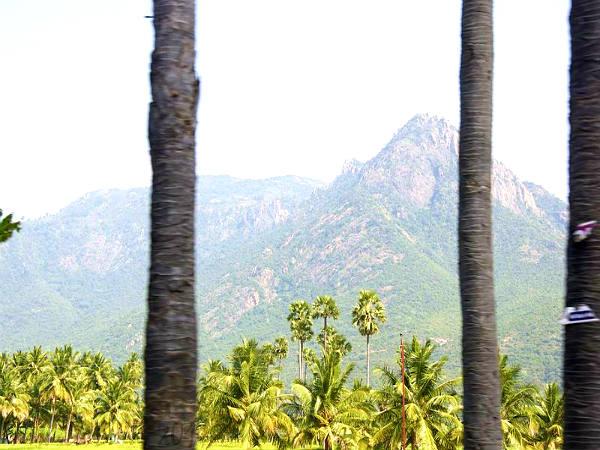 கொல்லி மலைக்கு ஒரு சிற்றுலா ! கொல்லி மலைக்கு ஒரு சிற்றுலா !
