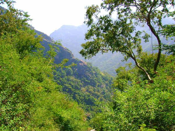 கொல்லி மலைக்கு ஒரு சிற்றுலா ! கொல்லி மலைக்கு ஒரு சிற்றுலா !