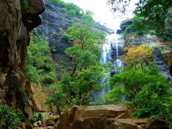 கொல்லி மலைக்கு ஒரு சிற்றுலா ! கொல்லி மலைக்கு ஒரு சிற்றுலா !