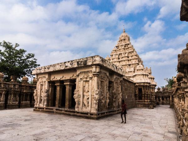 58 Cellular Temples Forms the Outer Wall 58 Cellular Temples Forms the Outer Wall