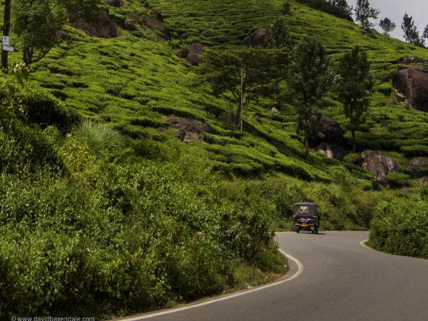மூணாறுக்கு நீளும் பாதை