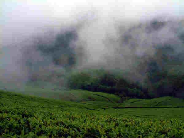 மேகங்கள் சூழ் மலை