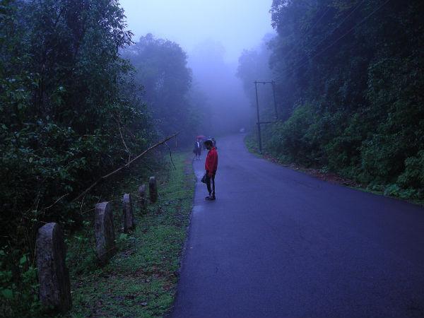 mist mist