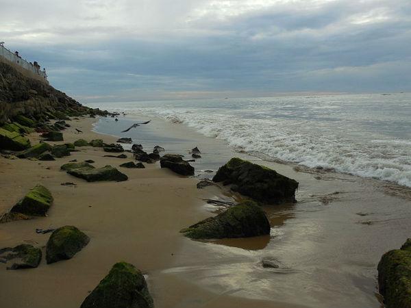 seashore seashore