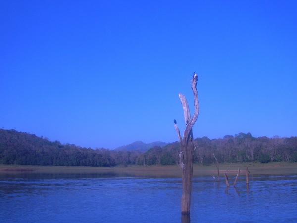 periyar periyar