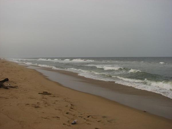கோலிவுட் என்ட்ரி