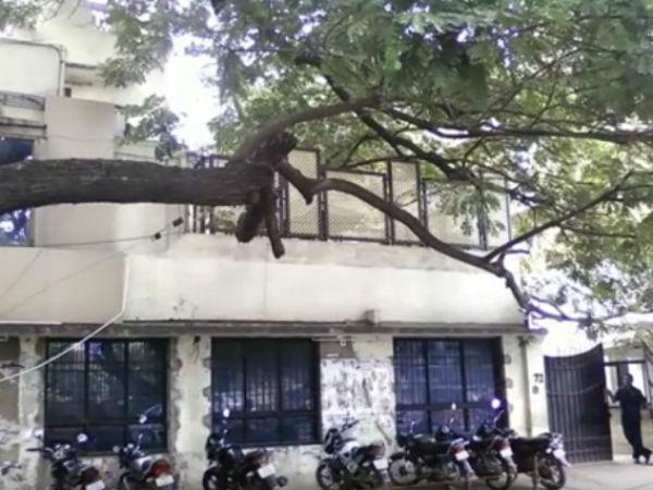 கமல்ஹாசன் இல்லம், ஆழ்வார்ப்பேட்டை