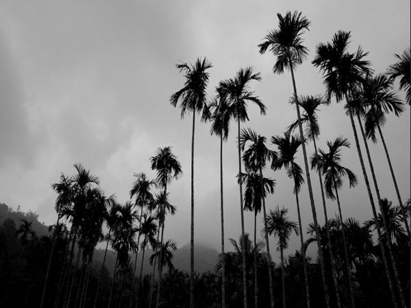 கடவுளின் தேசம்