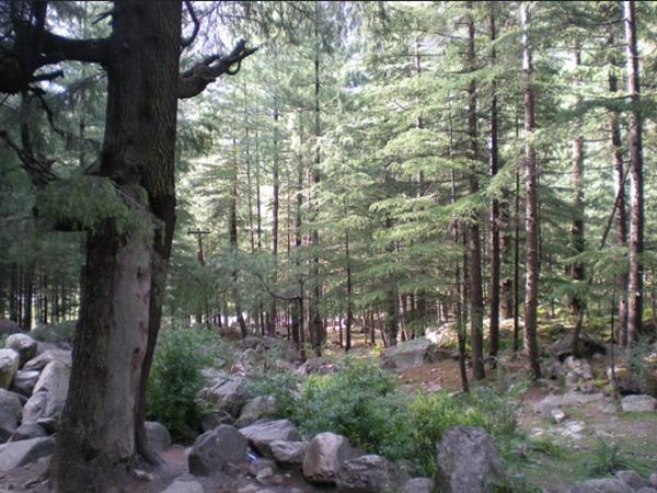 கசோலுக்கு தனியாக ஒரு பயணம்